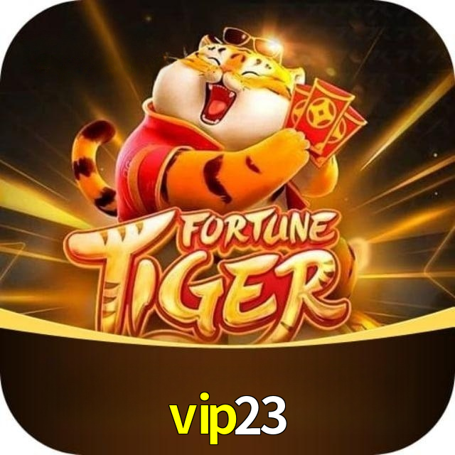 vip23.com